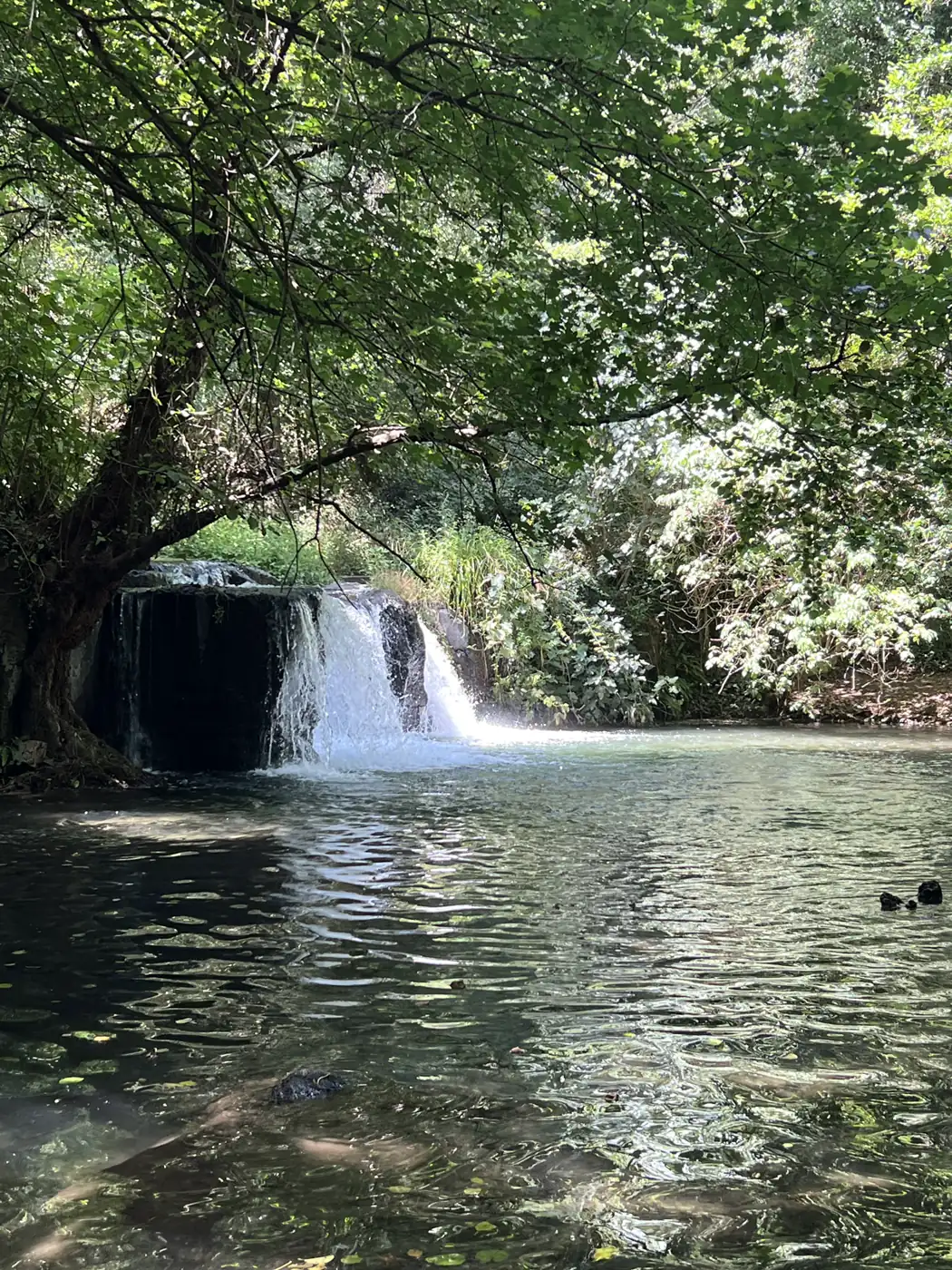 Waterfall in the woods near Trevignano